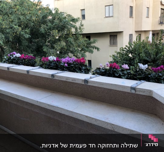 עציצים עם פרחים צבעוניים על מעקה מרפסת